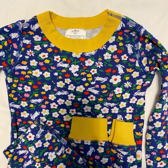 Hanna Andersson Other - Hanna Andersson pajamas size 3